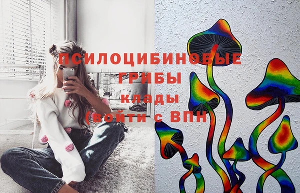 apvp Пролетарск