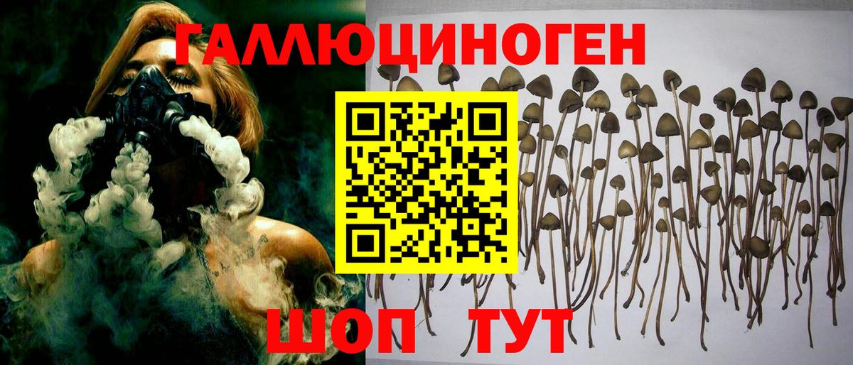 Галлюциногенные грибы мицелий Кореновск